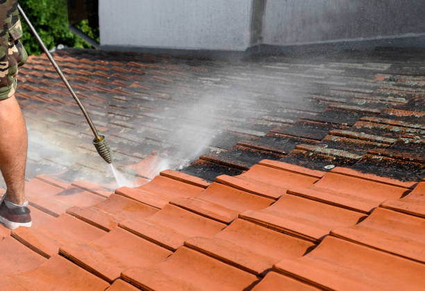 Best Affordable Power Washing  in Wilson, PA