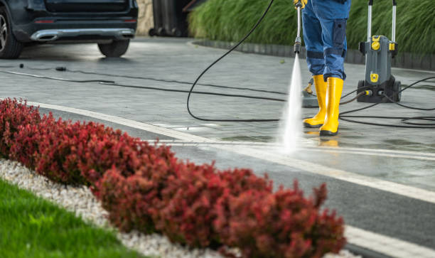Best Roof Power Washing Services  in Wilson, PA