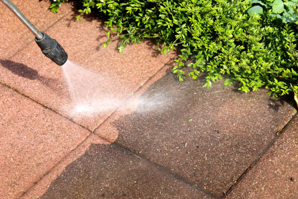 Best Pressure Washing Patio  in Wilson, PA